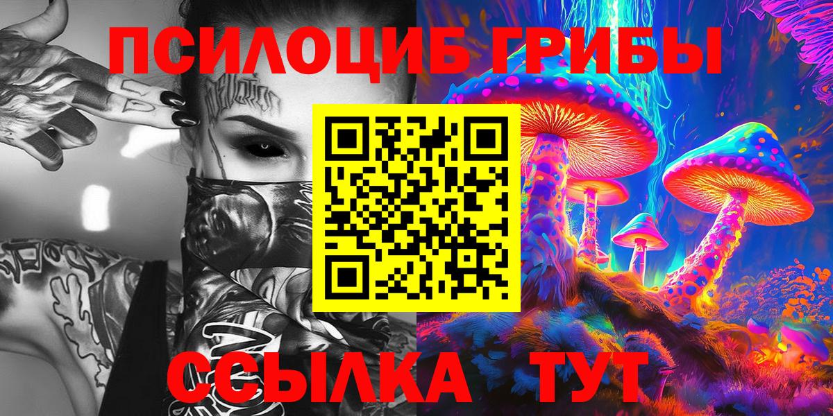 Псилоцибиновые грибы мицелий  Вход с VPN  Галлюциногенные грибы мицелий  Керчь 